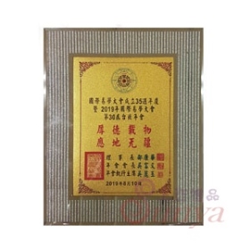 NT006鍍金獎牌