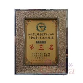 NT004鍍金獎牌
